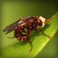 /album/wolfteamhediyem/photolia-a06-jpg/